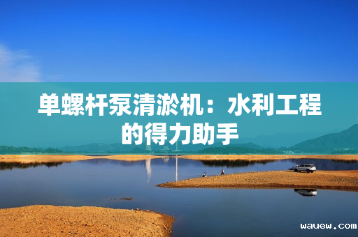 单螺杆泵清淤机：水利工程的得力助手