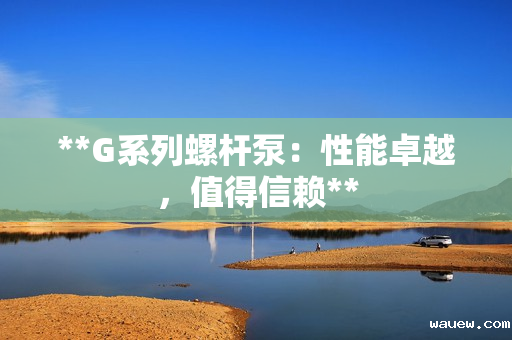 **G系列螺杆泵：性能卓越，值得信赖**