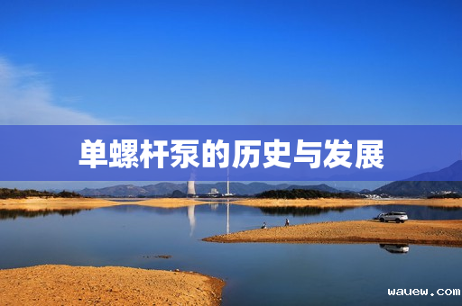 单螺杆泵的历史与发展