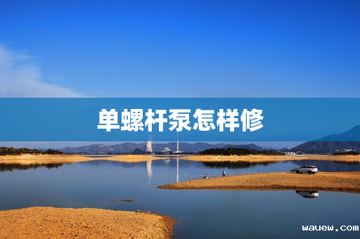 单螺杆泵怎样修