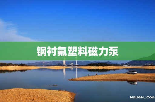 钢衬氟塑料磁力泵