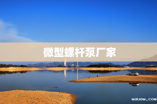  微型螺杆泵厂家