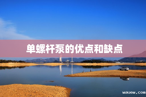  单螺杆泵的优点和缺点