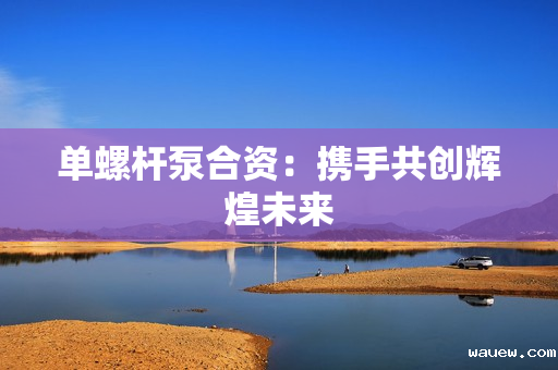 单螺杆泵合资：携手共创辉煌未来