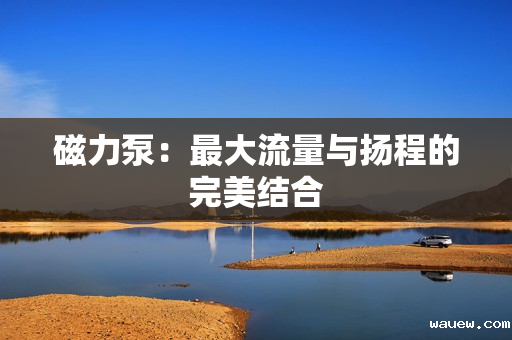 磁力泵：最大流量与扬程的完美结合