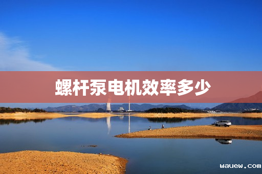  螺杆泵电机效率多少