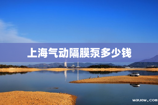 上海气动隔膜泵多少钱