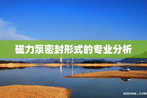 磁力泵密封形式的专业分析