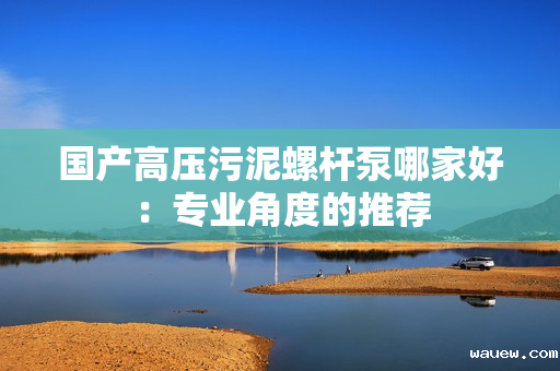 国产高压污泥螺杆泵哪家好：专业角度的推荐