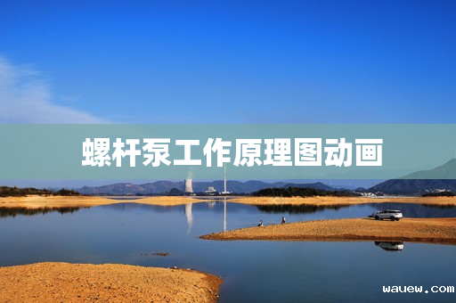  螺杆泵工作原理图动画