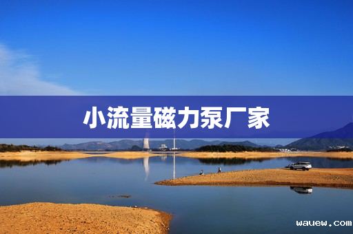 小流量磁力泵厂家