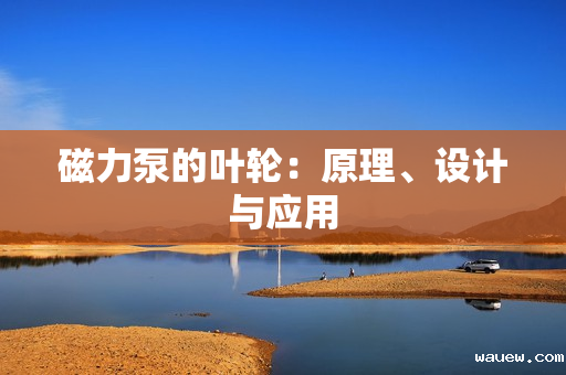 磁力泵的叶轮：原理、设计与应用