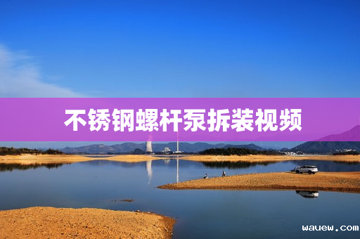  不锈钢螺杆泵拆装视频