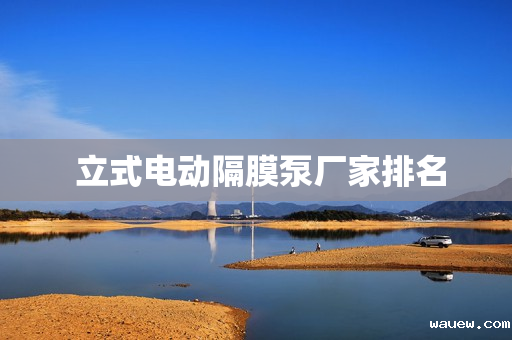  立式电动隔膜泵厂家排名