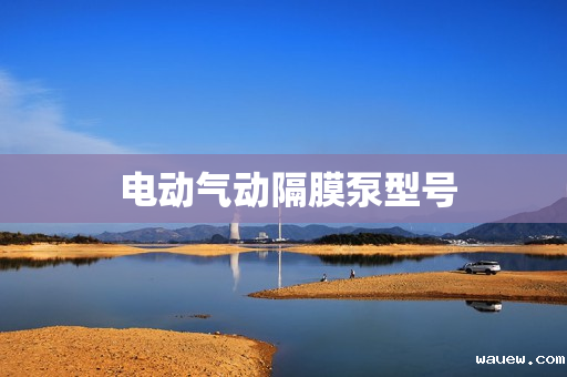  电动气动隔膜泵型号