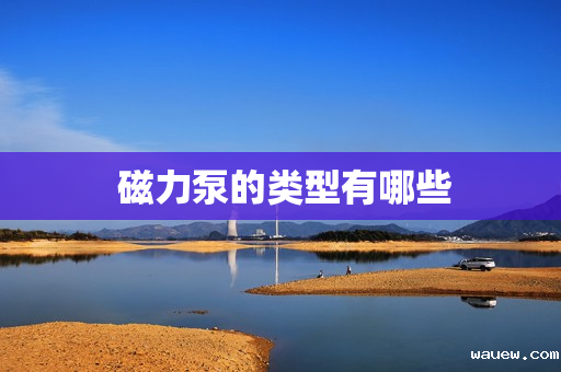  磁力泵的类型有哪些