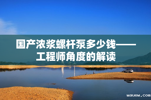 国产浓浆螺杆泵多少钱——工程师角度的解读