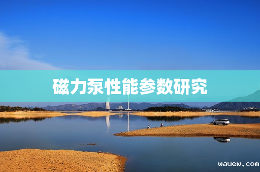 磁力泵性能参数研究