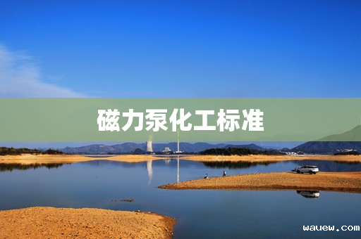 磁力泵化工标准