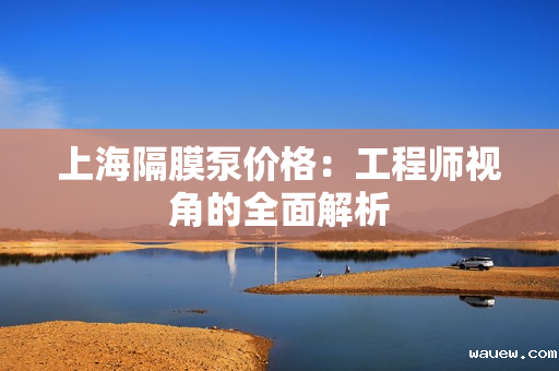 上海隔膜泵价格：工程师视角的全面解析