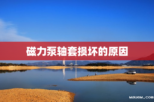 磁力泵轴套损坏的原因