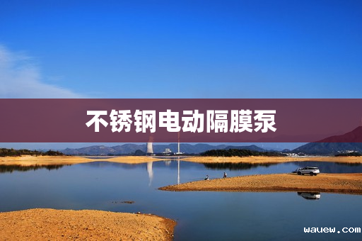 不锈钢电动隔膜泵