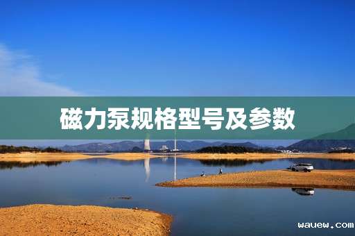 磁力泵规格型号及参数