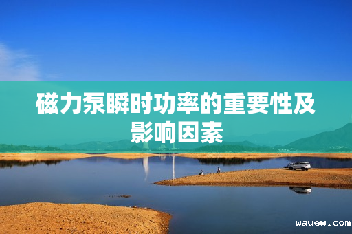 磁力泵瞬时功率的重要性及影响因素