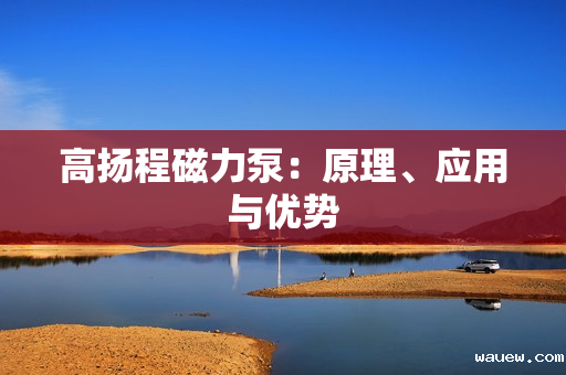 高扬程磁力泵：原理、应用与优势