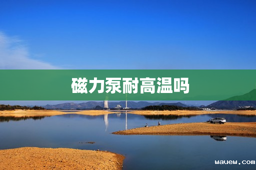  磁力泵耐高温吗