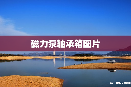 磁力泵轴承箱图片