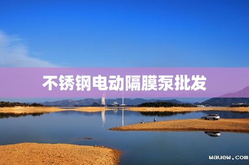 不锈钢电动隔膜泵批发