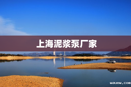  上海泥浆泵厂家