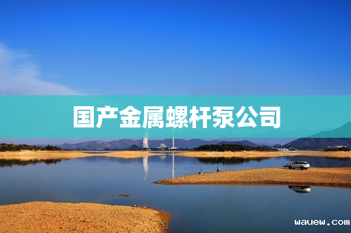 国产金属螺杆泵公司