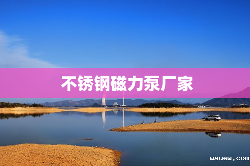  不锈钢磁力泵厂家