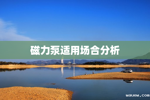 磁力泵适用场合分析