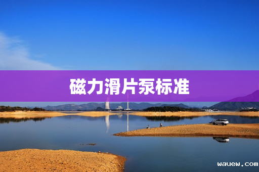 磁力滑片泵标准