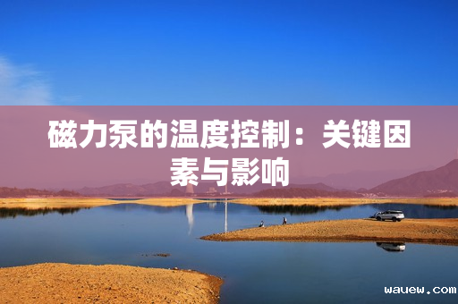 磁力泵的温度控制：关键因素与影响