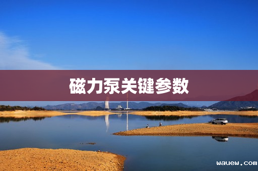 磁力泵关键参数