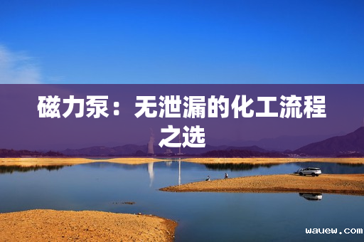 磁力泵：无泄漏的化工流程之选