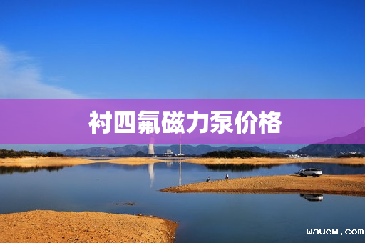  衬四氟磁力泵价格