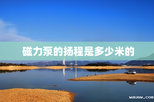  磁力泵的扬程是多少米的