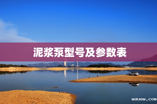  泥浆泵型号及参数表