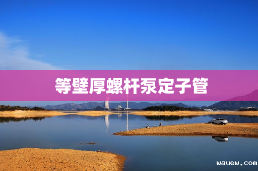  等壁厚螺杆泵定子管