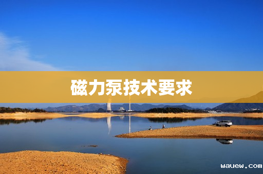 磁力泵技术要求