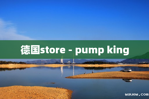 德国store - pump king