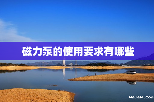  磁力泵的使用要求有哪些