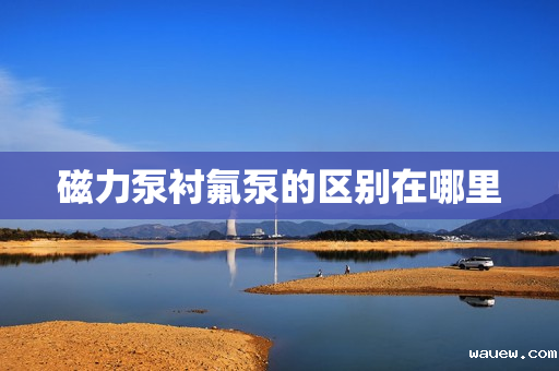 磁力泵衬氟泵的区别在哪里