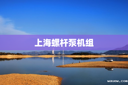 上海螺杆泵机组