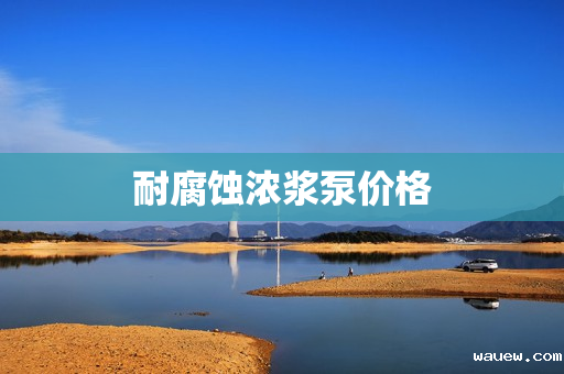 耐腐蚀浓浆泵价格